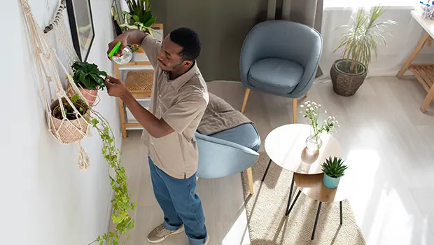 Choosing the right laminate for your home style durability and maintenance