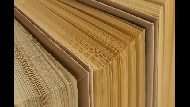 Elevate Your Interior Design with Rock Retail Splice Flush Doors